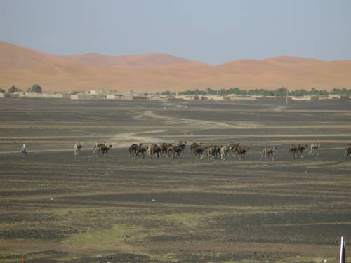 Merzouga - Errachidia Morocco Last Minute Discount Code Booking.com