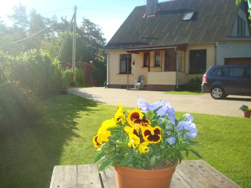 Saulkrasti Lettland Last-Minute-Rabattcode Booking.com