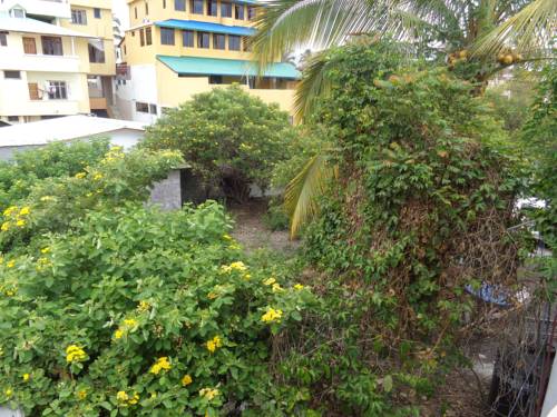 Puerto Ayora Ecuador Last Minute Discount Code Booking.com