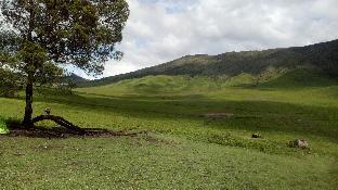 Bromo Indonesia Last Minute Discount Code Agoda.com