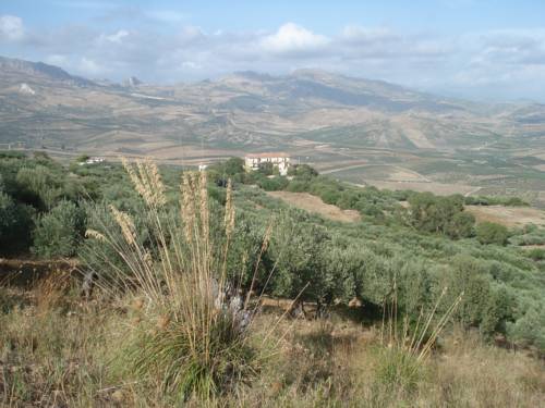 Sciacca Italien Last-Minute-Rabattcode Booking.com