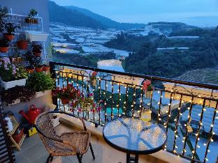 Cameron Highlands Malaysia Last Minute Discount Code Agoda.com