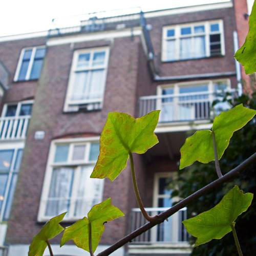 Amsterdam Netherlands Last Minute Discount Code Booking.com
