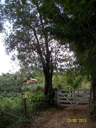 Poços de Caldas Brazil Last Minute Discount Code Booking.com
