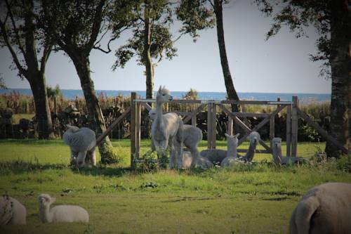 Falkenberg Sweden Last Minute Discount Code Booking.com