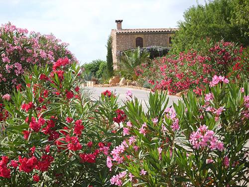 Costitx Spain Last Minute Discount Code Booking.com