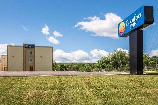 Apalachin (NY) United States Last Minute Discount Code Agoda.com