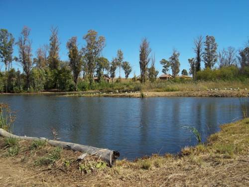 Magaliesburg Südafrika Last-Minute-Rabattcode Booking.com