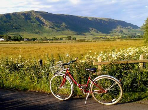 Lennoxtown United Kingdom Last Minute Discount Code Booking.com
