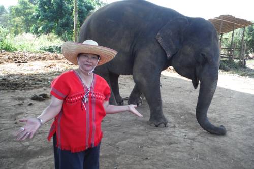 Chiang Mai Tailandia Último Minuto Código de Descuento Booking.com