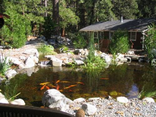 Idyllwild (Californië) Verenigde Staten Laatste minuut Kortingscode Booking.com