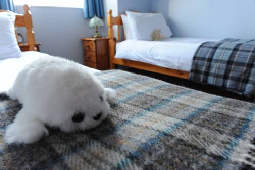 Lerwick United Kingdom Last Minute Discount Code Booking.com