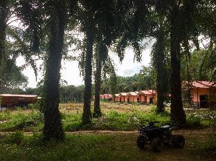 Suratthani Thailand Last Minute Discount Code Agoda.com