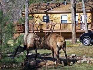 Estes Park (CO) United States Last Minute Discount Code Agoda.com