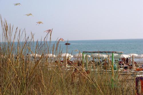 Grosseto Italy Last Minute Discount Code Agoda.com