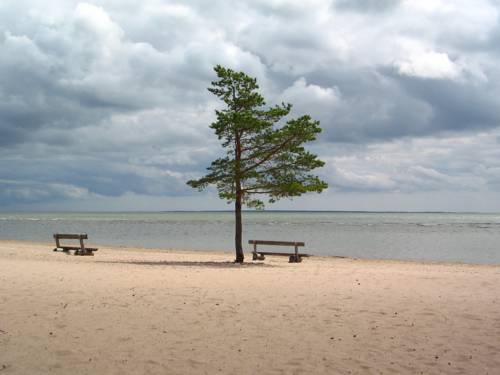 Mändjala Estonia Last Minute Discount Code Booking.com