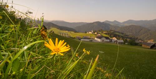 Spodnja Sorica Slovenia Last Minute Discount Code Booking.com