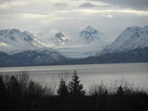 Homer (Alaska) Verenigde Staten Laatste minuut Kortingscode Booking.com