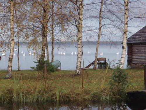 Harjumaa Estland Last-Minute-Rabattcode Booking.com