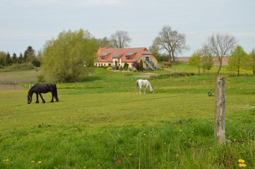 Putbus Germany Last Minute Discount Code Agoda.com