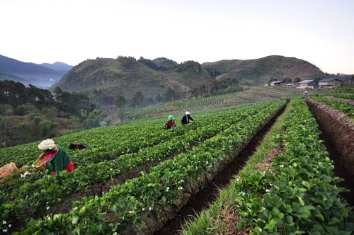 Doi Angkhang Thailand Last-Minute-Rabattcode Booking.com