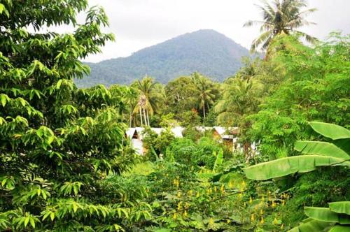 Koh Phangan Thailand Last Minute Discount Code Agoda.com