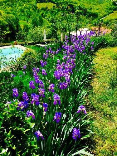 Localita' Melazzano Italy Last Minute Discount Code Booking.com