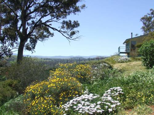Mansfield Australia Last Minute Discount Code Booking.com