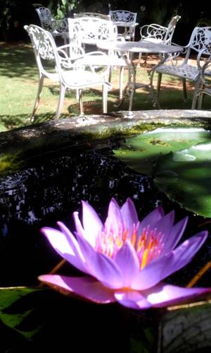 Mihintale Sri Lanka Last Minute Discount Code Booking.com