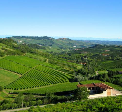 Monforte dʼAlba Italien Last-Minute-Rabattcode Booking.com