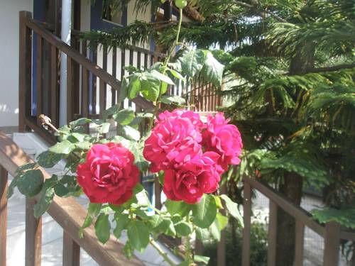 Alonissos Griechenland Last-Minute-Rabattcode Booking.com