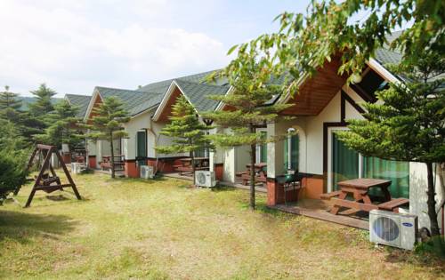 Pyeongchang South Korea Last Minute Discount Code Booking.com