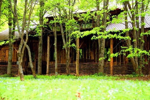 Trusovo Russia Last Minute Discount Code Agoda.com