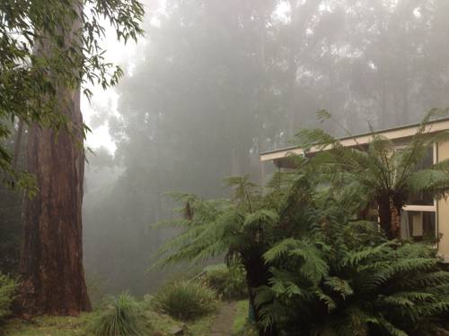 Healesville Australia Last Minute Discount Code Booking.com