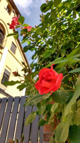 Asti Italy Last Minute Discount Code Agoda.com