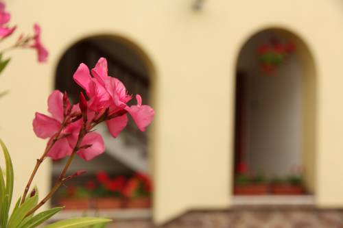 Orfű Hungary Last Minute Discount Code Booking.com