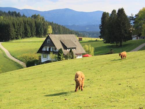 Mühlenbach Germany Last Minute Discount Code Booking.com