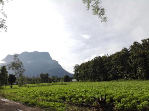 Chiang Dao Thailand Last Minute Discount Code Agoda.com
