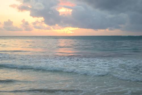 Playa de Diani Kenia Último Minuto Código de Descuento Booking.com