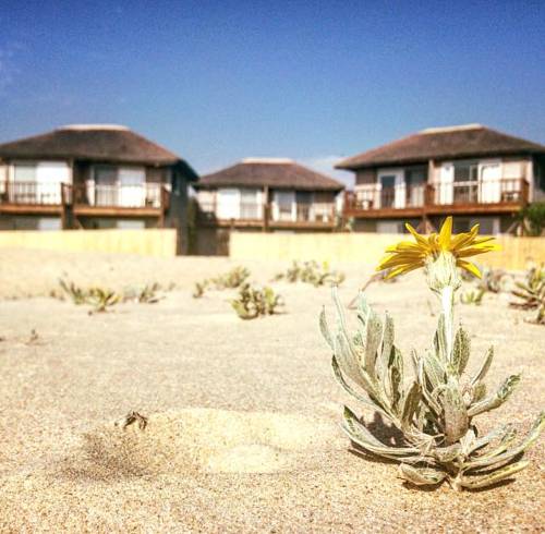 La Pedrera Uruguay Last Minute Discount Code Booking.com