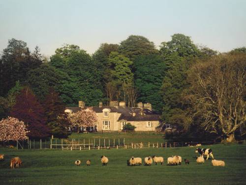 Mountnugent Irland Last-Minute-Rabattcode Booking.com