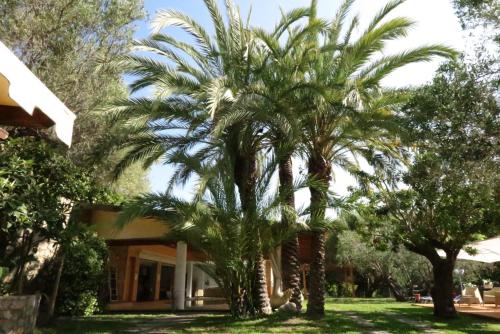 Camerota Italy Last Minute Discount Code Agoda.com