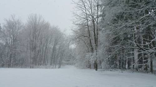 Cohocton (New York) United States Last Minute Discount Code Booking.com