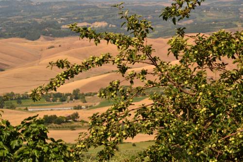 Chianni Italien Last-Minute-Rabattcode Booking.com