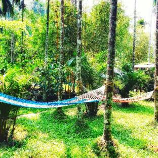 Wayanad India Last Minute Discount Code Agoda.com