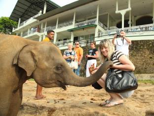 Pinnawala Sri Lanka Last Minute Discount Code Agoda.com