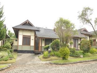 Puncak Indonesia Last Minute Discount Code Agoda.com