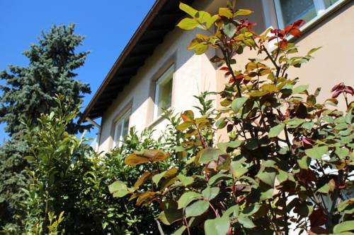 Teningen-Kondringen Germany Last Minute Discount Code Booking.com