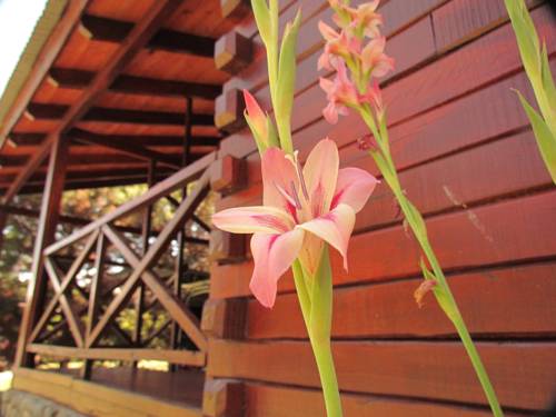 Los Reartes Argentinien Last-Minute-Rabattcode Booking.com