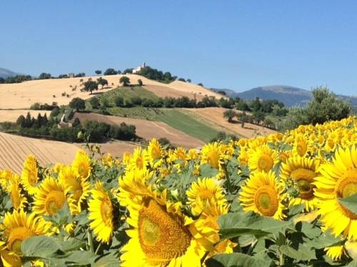 Tolentino Italy Last Minute Discount Code Booking.com